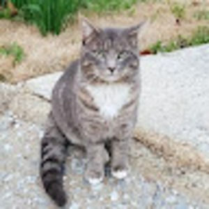 Meet your Posher, Arshida